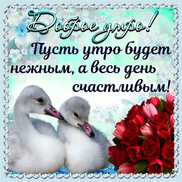 Милая открытка для вас