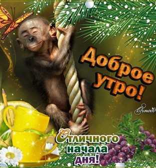 Теплые слова для Открытки с добрым утром с животными