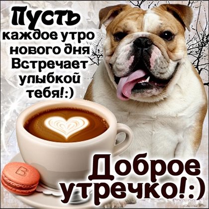 Тепло и улыбки