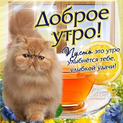 Красивая открытка для Открытки с добрым утром с животными
