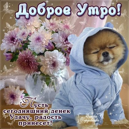 Нежные поздравления для Открытки с добрым утром с животными