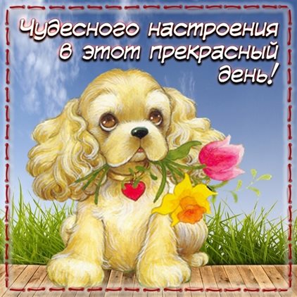 Улыбок, любви и тепла