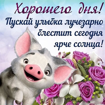 Чудесные поздравления для Открытки с добрым утром с животными