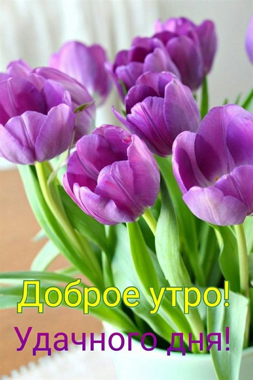 Больше радости в жизни
