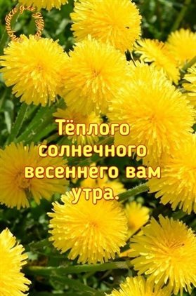 Особенная открытка для Открытки с добрым мартовским утром