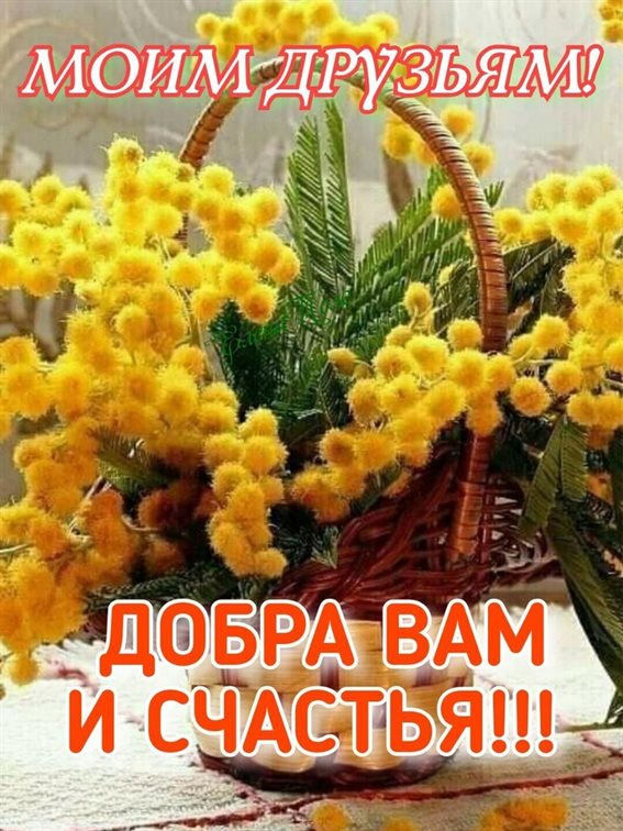 Луч света в ваш день