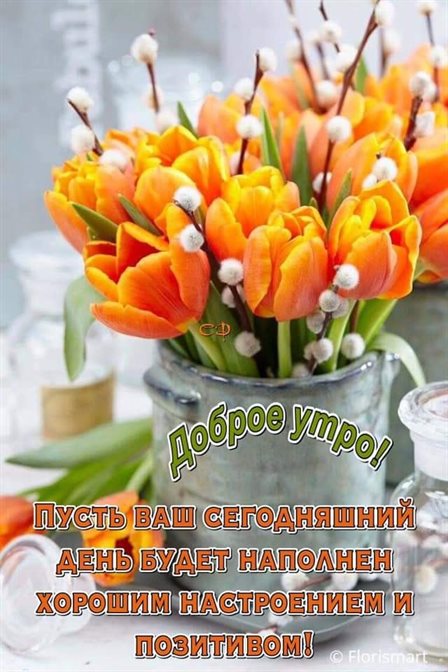 Красивая открытка для Открытки с добрым мартовским утром