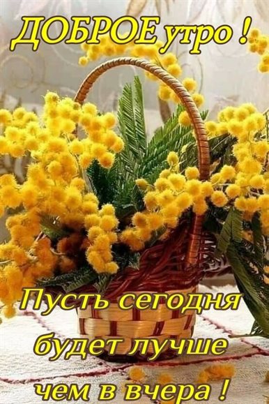 Немного волшебства в ваш день