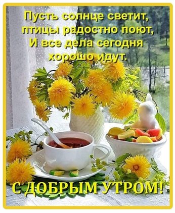 Нежность и внимание