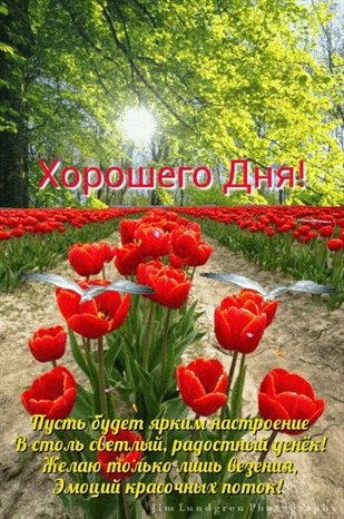 Пусть улыбка не сходит с лица