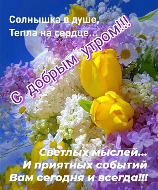 Хорошего настроения сегодня