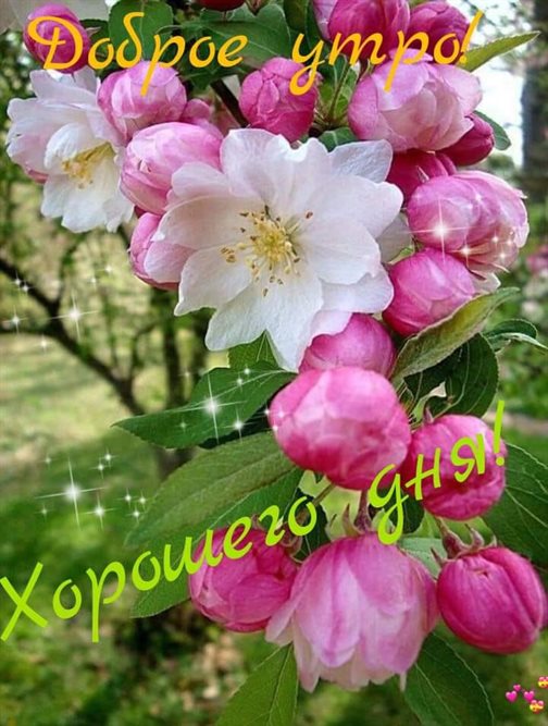 Счастья и удачи