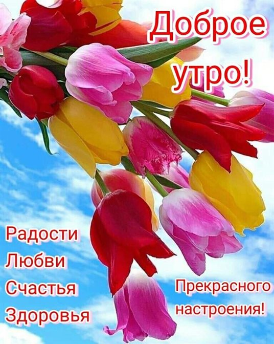 Теплые поздравления