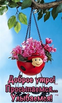 Лучшие пожелания
