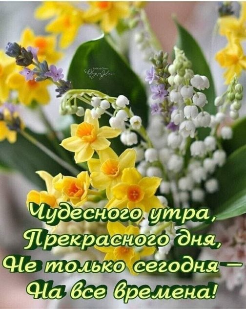 Пусть все сбудется