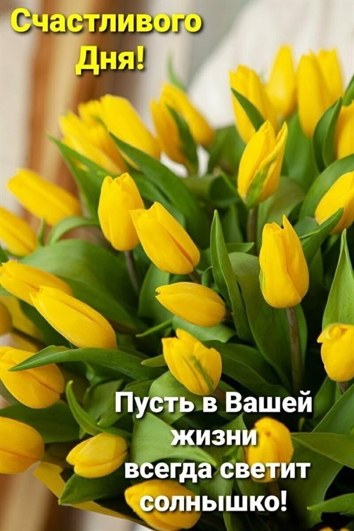 Хорошего настроения сегодня