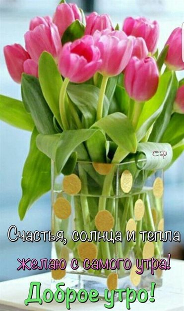 Нежность и внимание