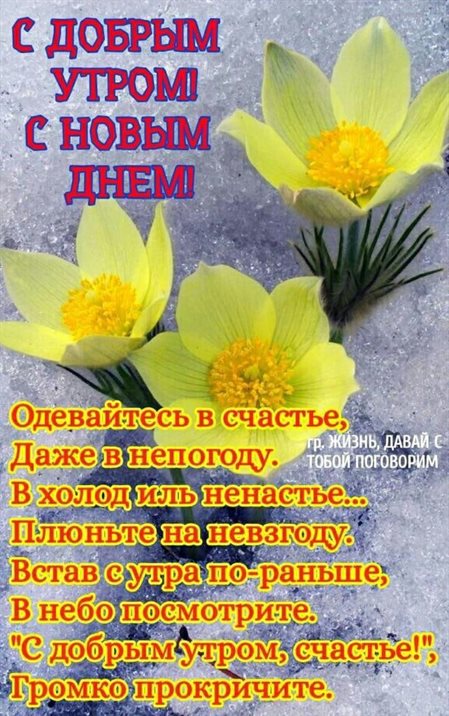 Приятные поздравления