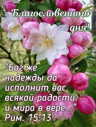 Подарок в виде открытки
