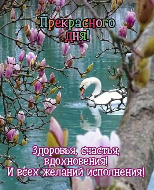 Пусть день будет незабываемым