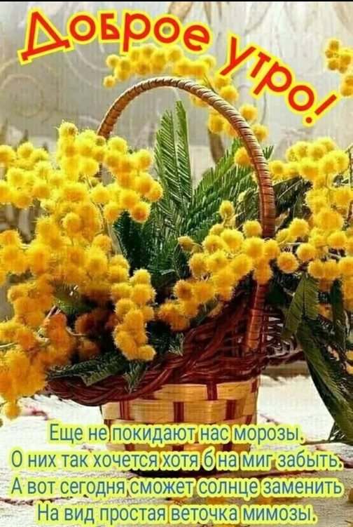 Теплые слова для Открытки с добрым мартовским утром