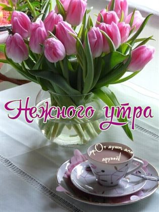 Немного тепла и заботы