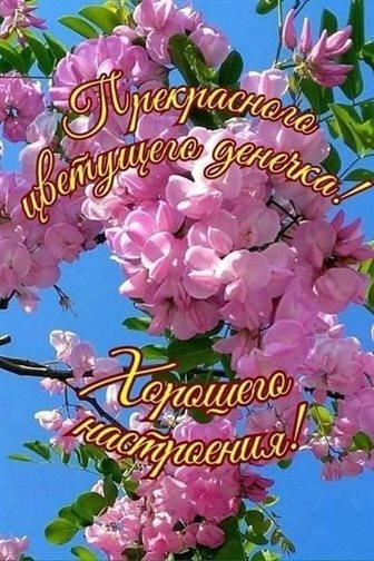 Нежность и внимание
