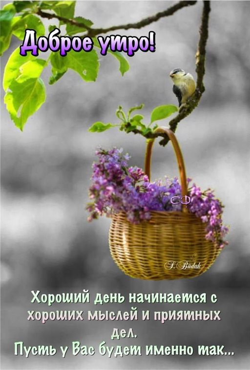 Теплые поздравления