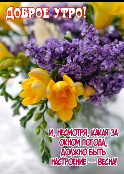 Нежные поздравления для Открытки с добрым апрельским утром