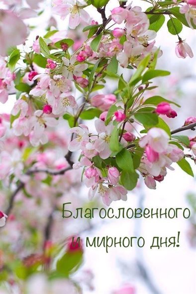 С праздником!