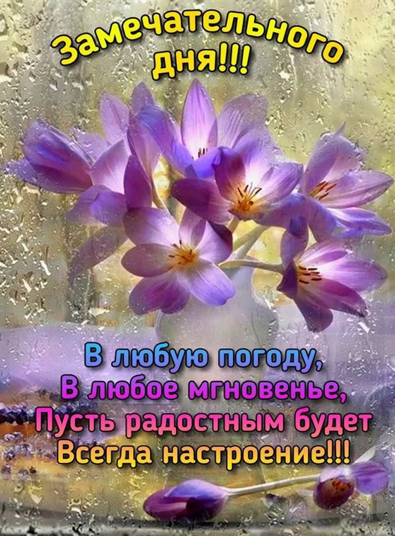 Пусть в жизни будет больше праздников