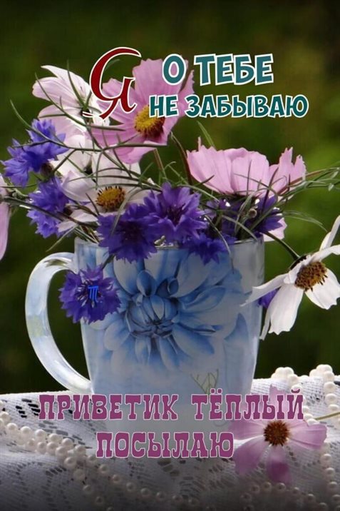 С наилучшими пожеланиями