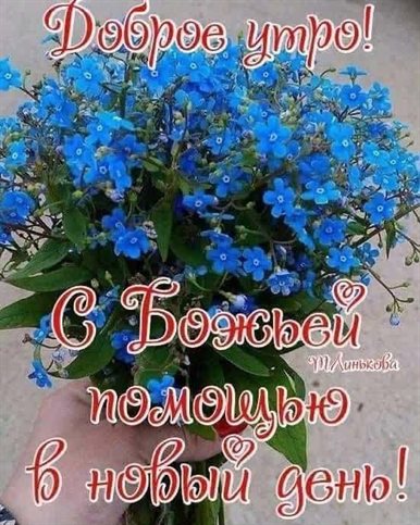 С наилучшими пожеланиями