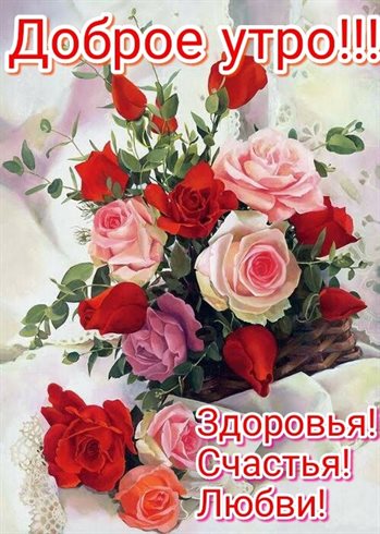 Луч света в ваш день