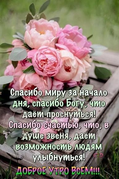 Луч света в ваш день