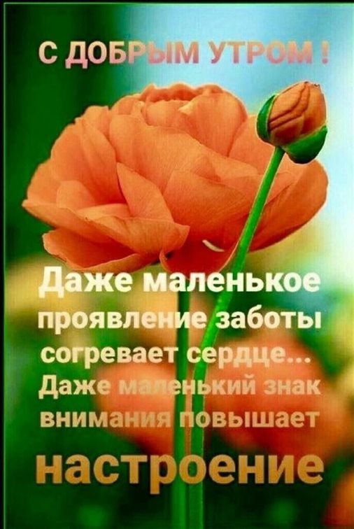 Пусть радость будет с вами