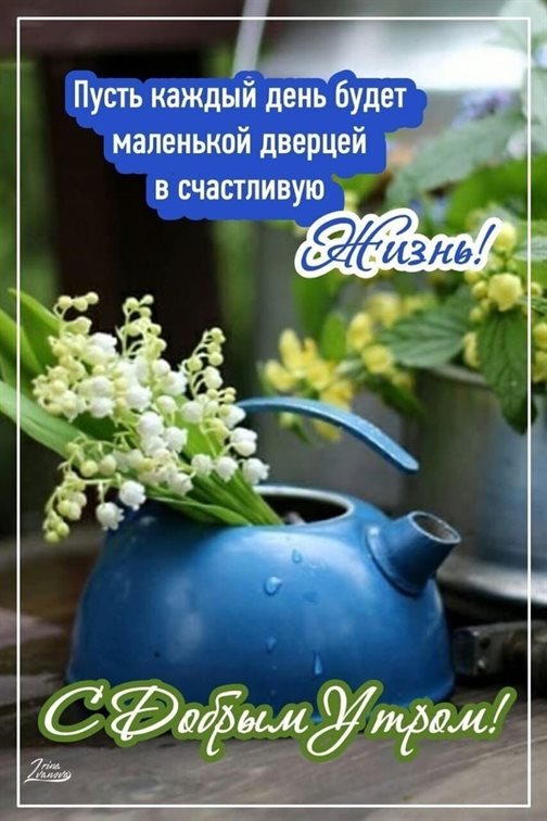 Нежность и внимание