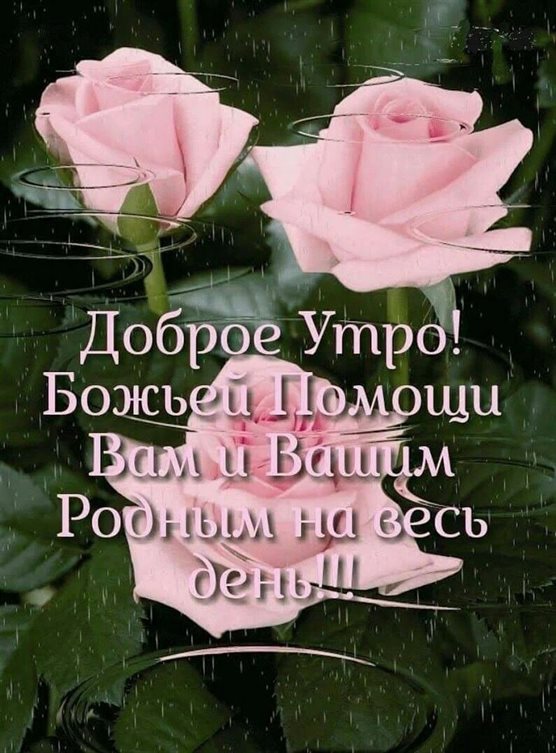 Теплые поздравления
