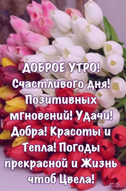 От всей души и сердца