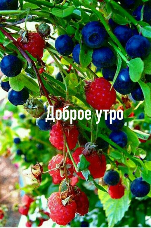 Искренние пожелания