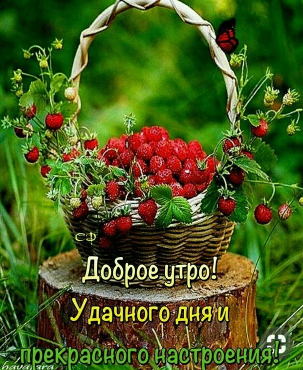 Пусть в жизни будет больше праздников