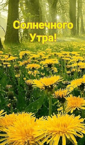 Немного тепла и заботы