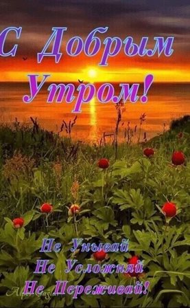 Немного волшебства в ваш день
