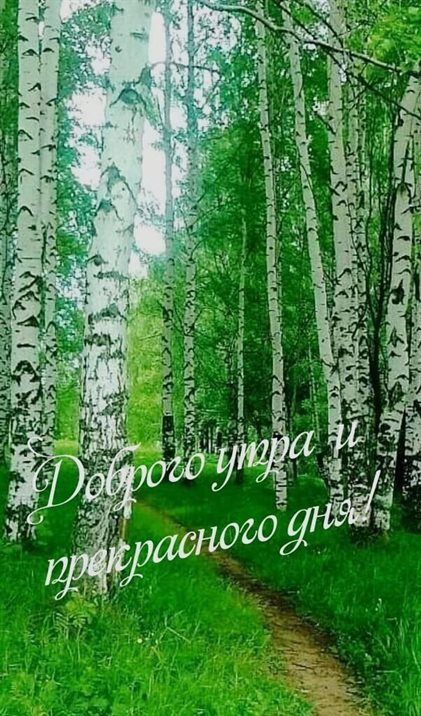 Яркие пожелания для Открытки с добрым июньским утром