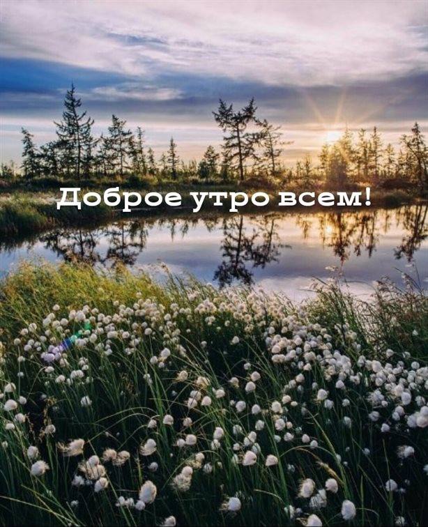 Приятные поздравления
