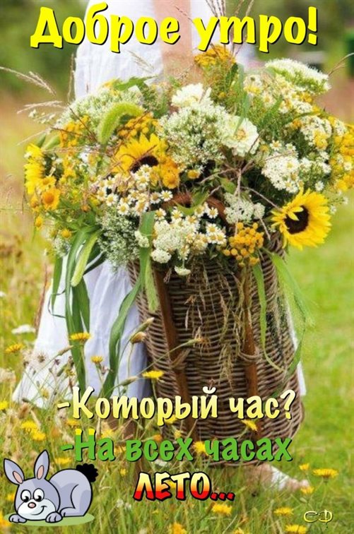 Теплые слова для Открытки с добрым июньским утром