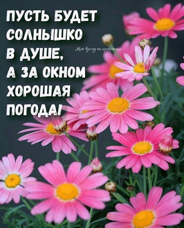 Хорошего настроения сегодня