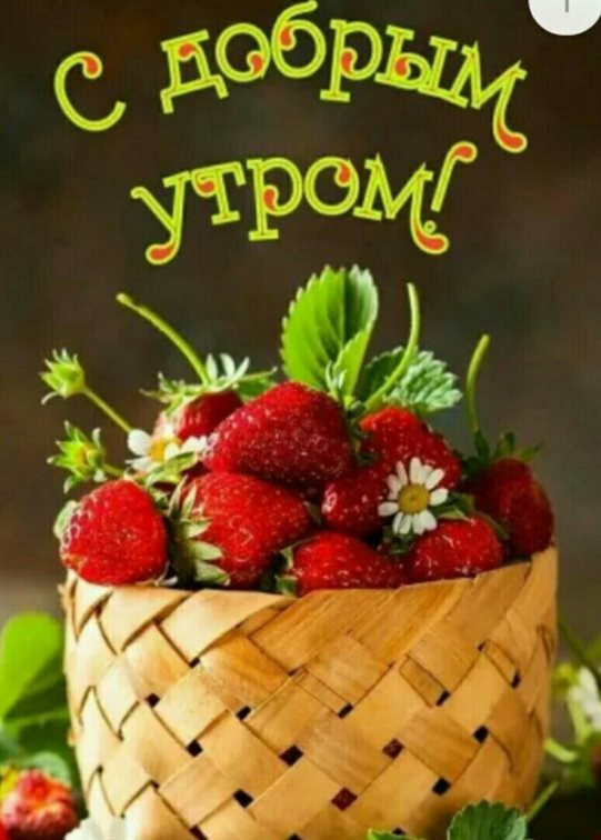 Луч света в ваш день