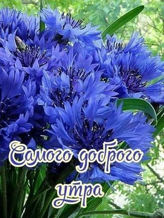 Особенная открытка для Открытки с добрым июньским утром