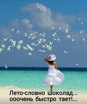 Нежные поздравления для Открытки с добрым июньским утром